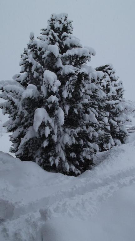 Casa Collina Daire Disentis Dış mekan fotoğraf
